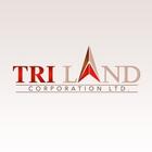 Web Design for Seasonal Gifting, Paper Products Manufacturer